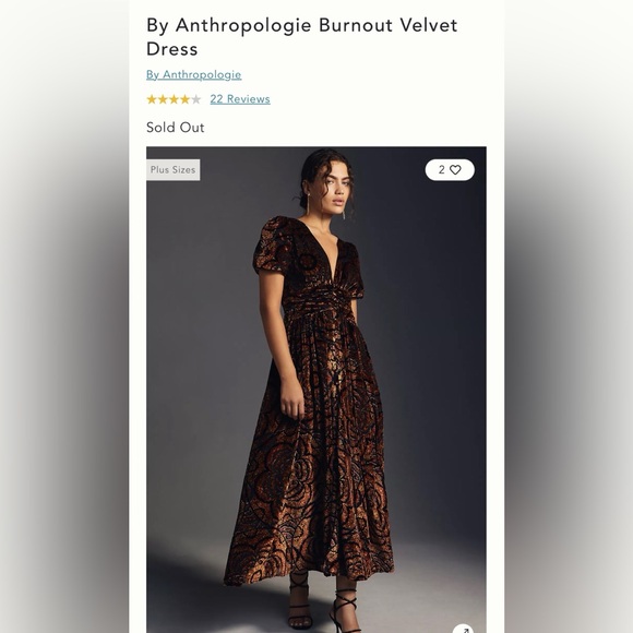 NWT The Katerina Button-front Dress: Velvet Edition - Picture 5 of 16